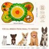 Nosework Interactive Sniffing Slow Feeding Dog, Cat & Rabbit Snuffle Mat, Large: 25x 17-in, Brown