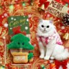 Christmas Themed Silver Vine Cat Chew Toy for Kittens- Boredom Relief & Self-Play Plush
