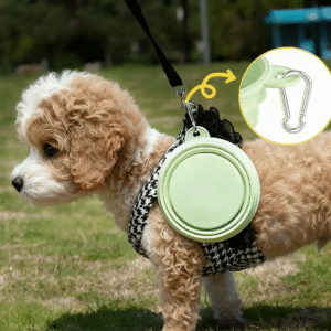 Collapsible Silicone Travel Dog & Cat Bowl with Carabiner