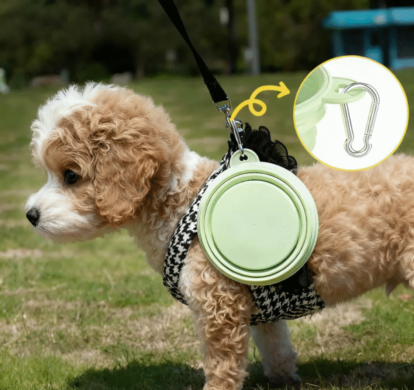 微信图片_2025-11-07_225704_681 Collapsible Silicone Travel Dog & Cat Bowl with Carabiner