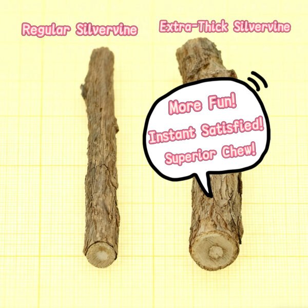 Owl Silvervine Stick Chew Cat Toy with Catnip, Multicolor, 2 count