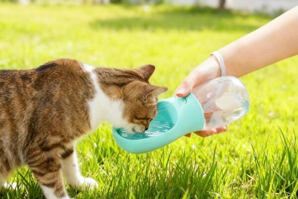 微信图片_20251106220946_202_29 Outdoor Pet Water Bottle