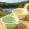 微信图片_20251107224831_210_29 Collapsible Silicone Travel Dog & Cat Bowl with Carabiner